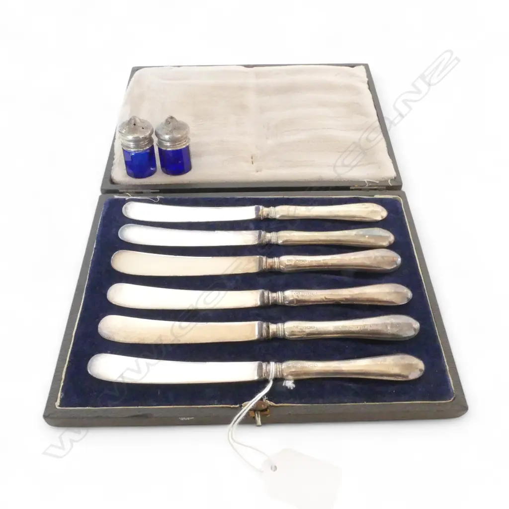 6 STG SILVER HANDLED BUTTER KNIVES, CASED + 2 STG CONDIMENTS Image 1++