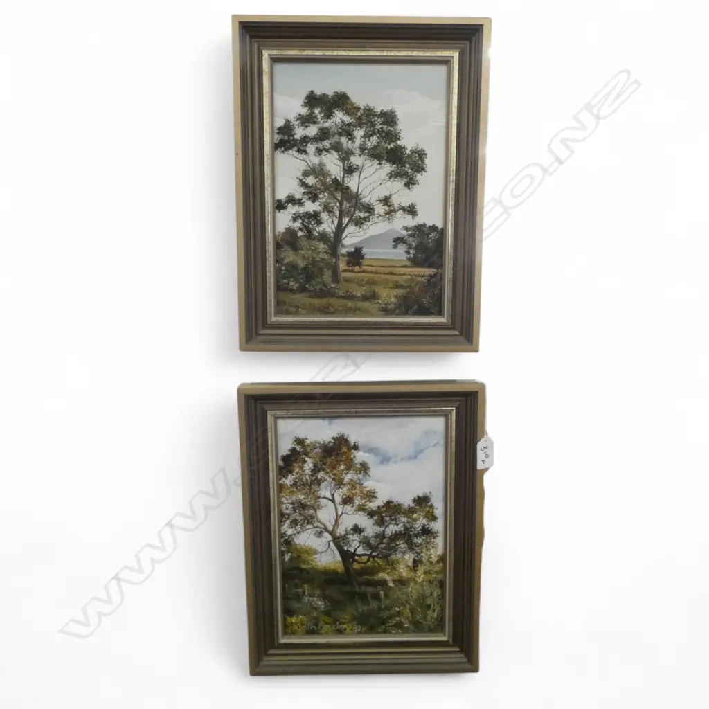 2 JUDITH MORETON OILS 'AHIMIA II COROMANDEL' & 'FROM THE ROAD TO COLVILLE' 265x190mm Image 1++