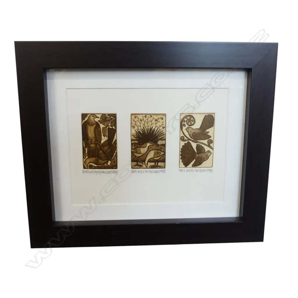 FRAMED ORIGINAL PRINT ETCHING BY ANTHONY MAXEY, BIRD OF AOTEAROA, 250 X 300MM Image 1++