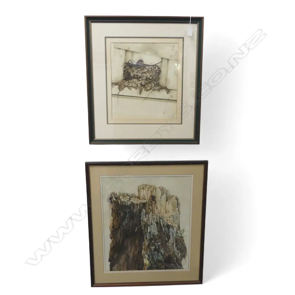 2 PAINTINGS, NESTING/NATURE SCENES, ONE SIGNED, 510x420mm Image 1++