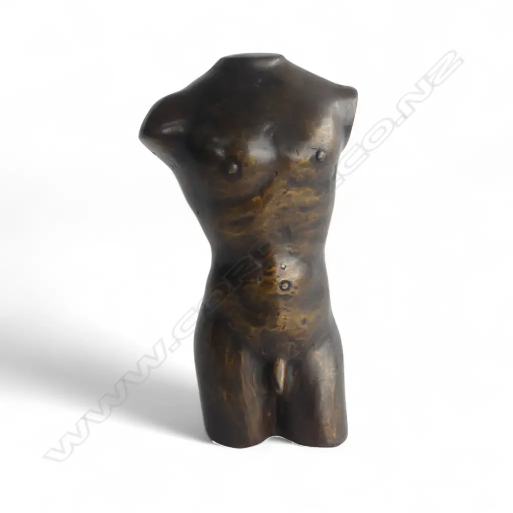 CLASSIC STYLE BRONZE MALE TORSO Image 1++