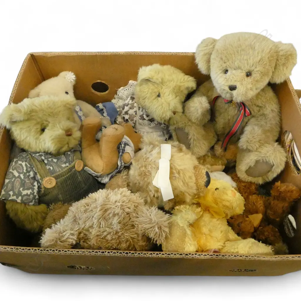 ASST. TEDDY BEARS Image 1++