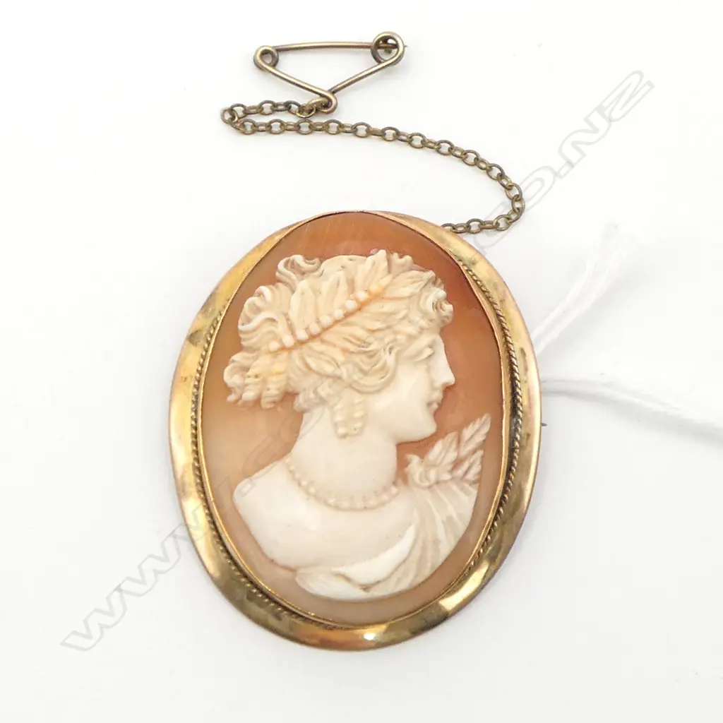 9ct GOLD MOUNTED CAMEO BROOCH 13.79gm total weight Image 1++