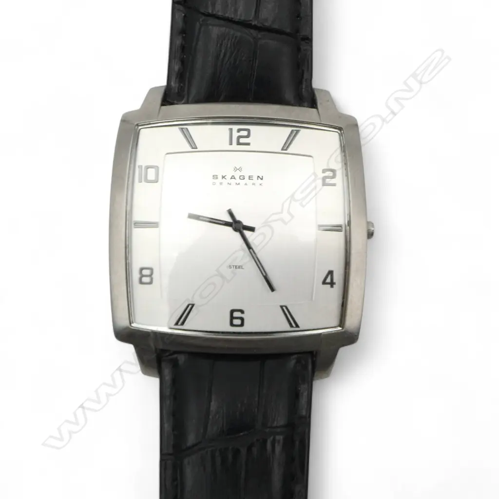 ROAMER POWER 8 & SKAGEN WRISTWATCH  Image 1++