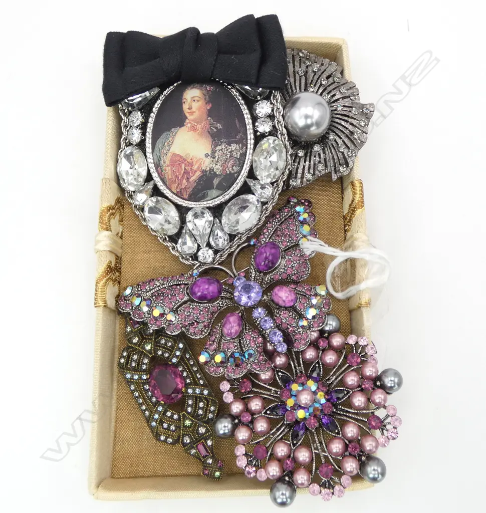 5 LRG COSTUME BROOCHES Image 1++