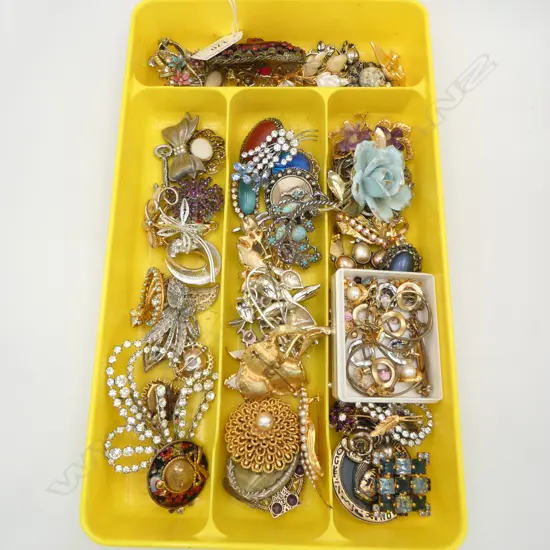 ASST. COSTUME JEWELLERY BROOCHES, CLIP ON EARRINGS, etc
