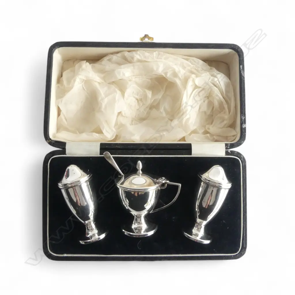 3 PCE STG SILVER CONDIMENT SET, CASED 125gms Image 1++