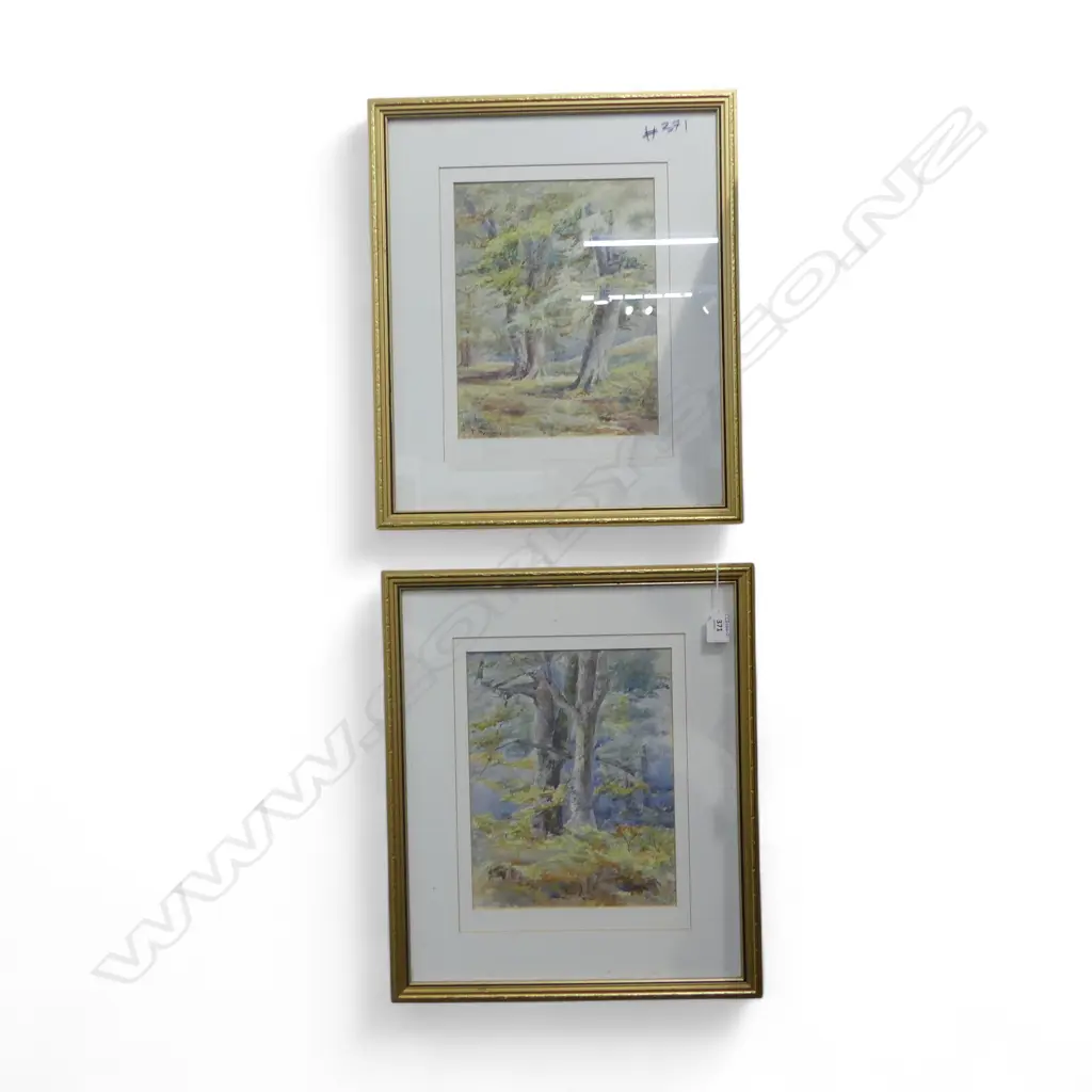 2 FRAMED UNSIGNED PAINTINGS, W/C, BY THE SAME ARTIST, 280x220mm Image 1++