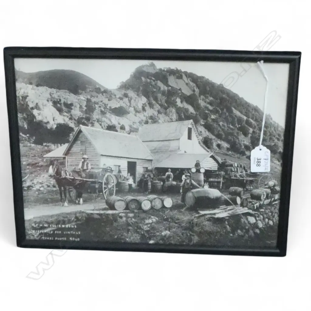 FRAMED PHOTO PRINT; F.H.M ELLIS & SONS WINE MAKERS MOTUPIPI TASMAN C.1900 250x335mm Image 1++