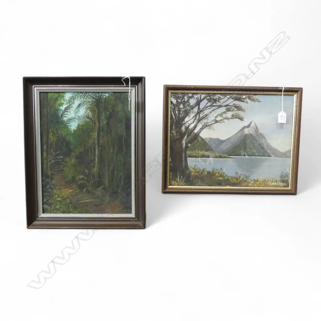 2 OILS ON BOARD MITER PEAK  CA MARSHELL H300 L380MM & BUSH SCENE BY CHRISTENSEN H380 L290MM Image 1++