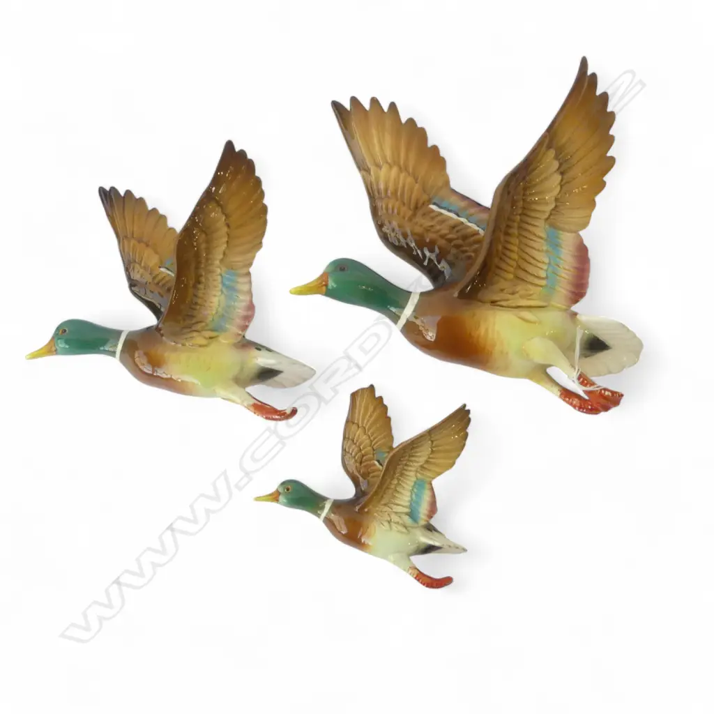 SET OF 3 CHINA WALL DUCKS CHIP TO WING ON SMALLEST L270MM LARGEST Image 1++