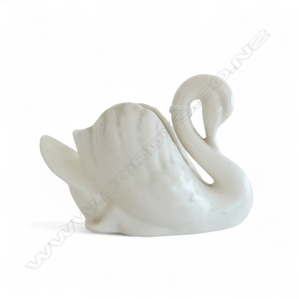 SMALL SIZE WHITE C/LYNN SWAN L140MM Image 1++