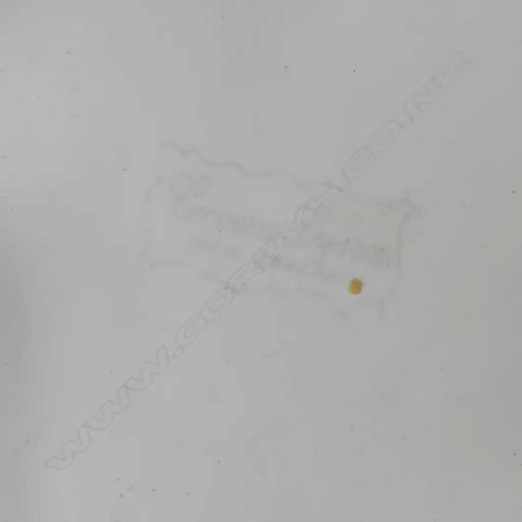 CROWN LYNN WHITE LGE SWAN restored neck H.230mm Image 1++