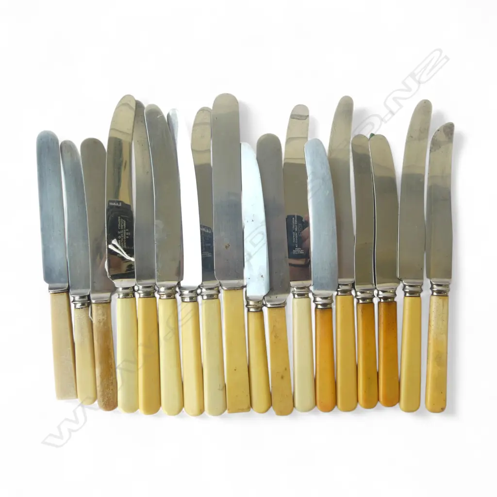 ASST. IVORINE 'BONE' KNIVES Image 1++