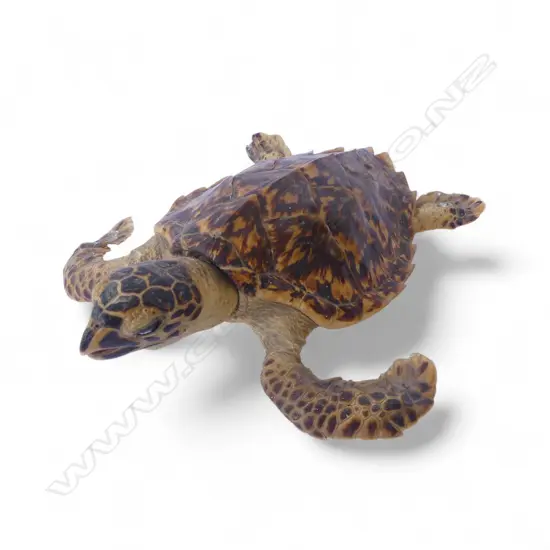 TAXIDERMY SEA TURTLE L.285mm