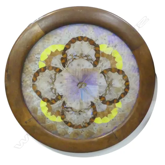 BUTTERFLY WINGS ARTWORK 390mm dia