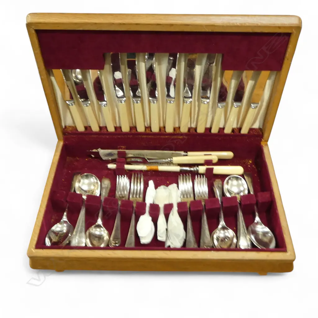 ASHBERRY EP CUTLERY CANTEEN W.470mm box worn Image 1++