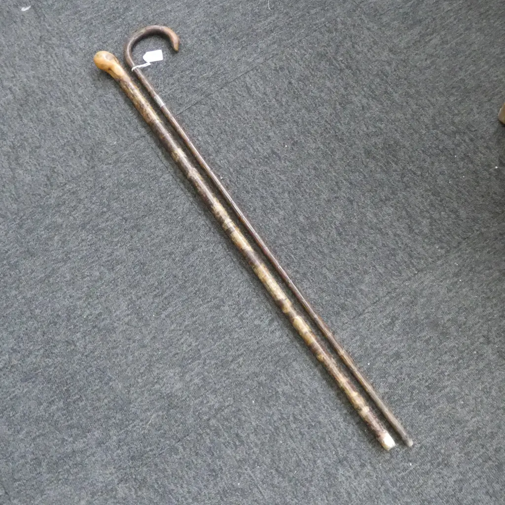 2 WALKING STICKS; 1 w. STG SILVER COLALR H.910mm Image 1++