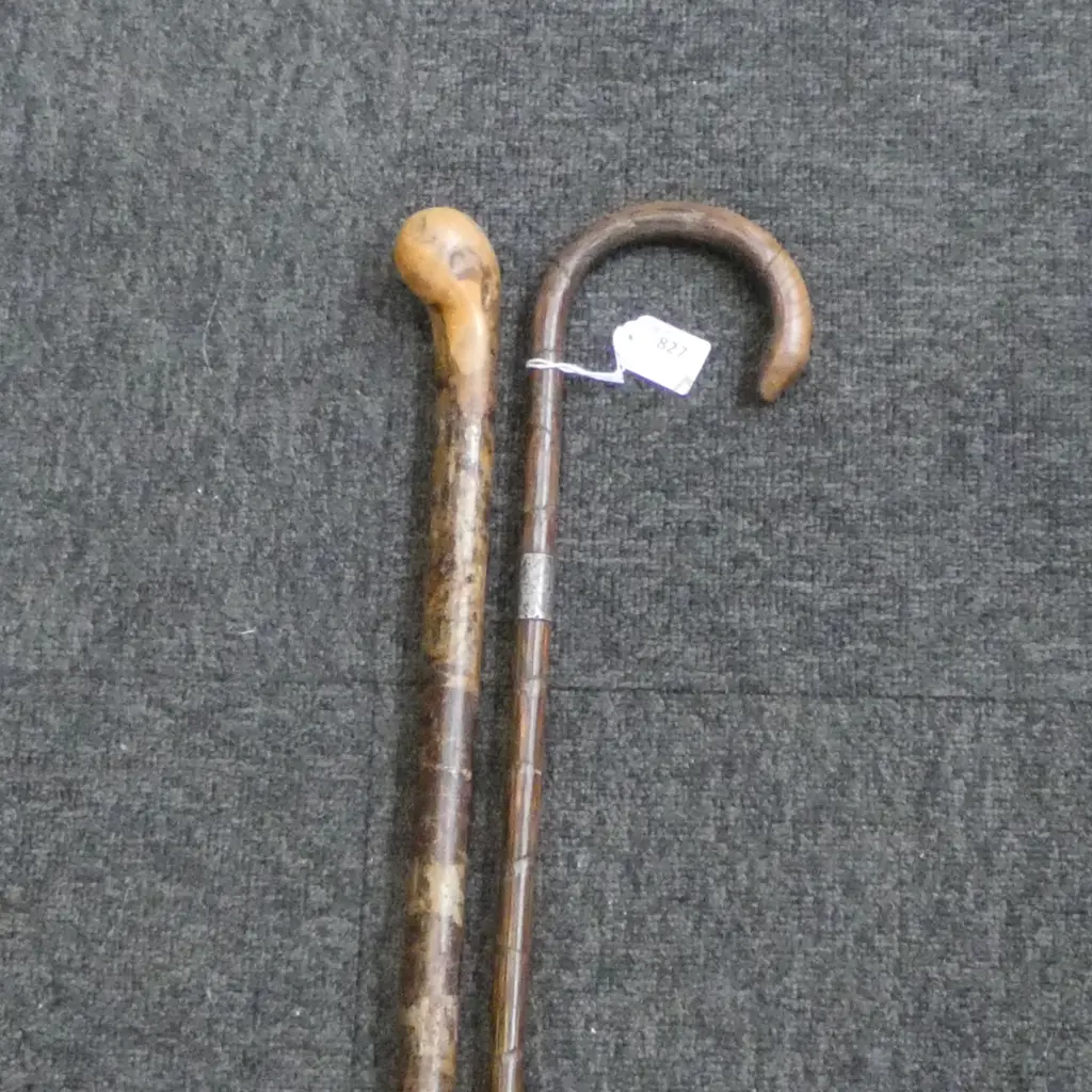 2 WALKING STICKS; 1 w. STG SILVER COLALR H.910mm Image 1++