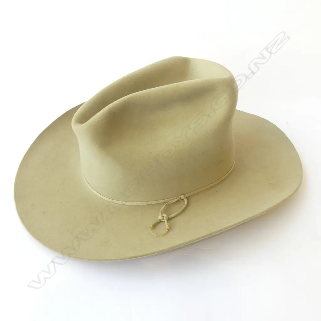 LG VINTAGE STETSON FELT HAT Image 1++