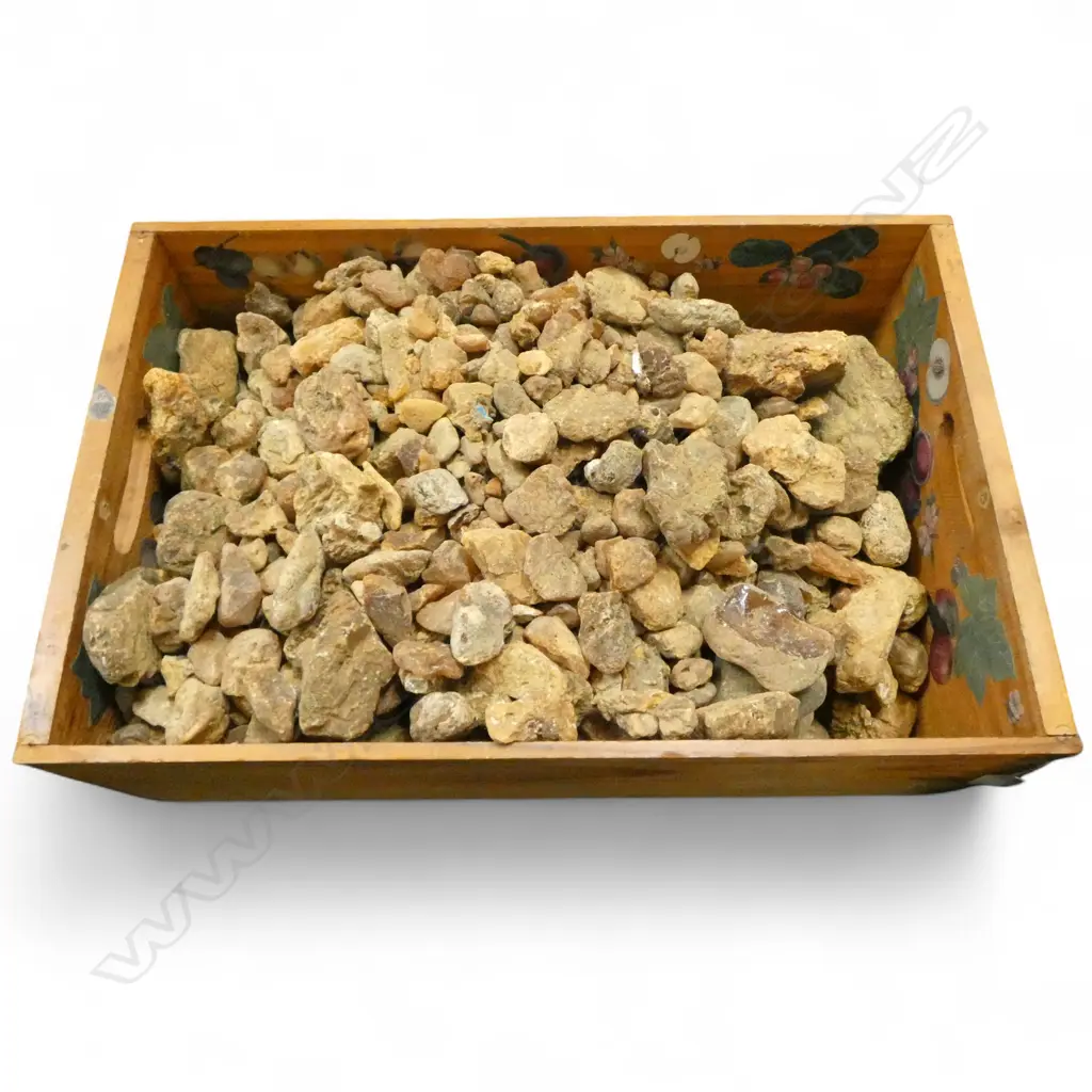 KAURI GUM PCES IN WOODEN CRATE Image 1++