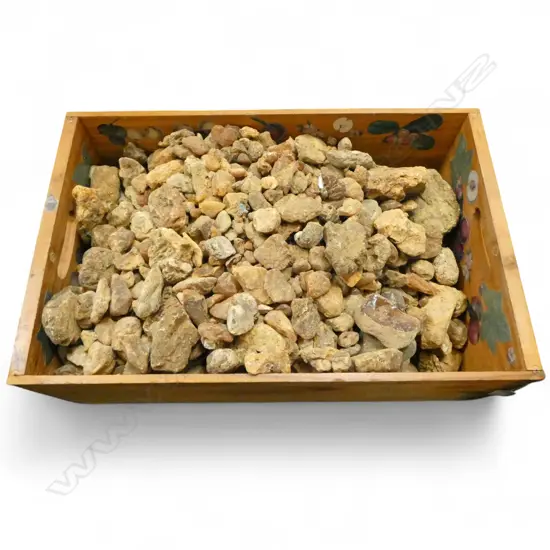 KAURI GUM PCES IN WOODEN CRATE