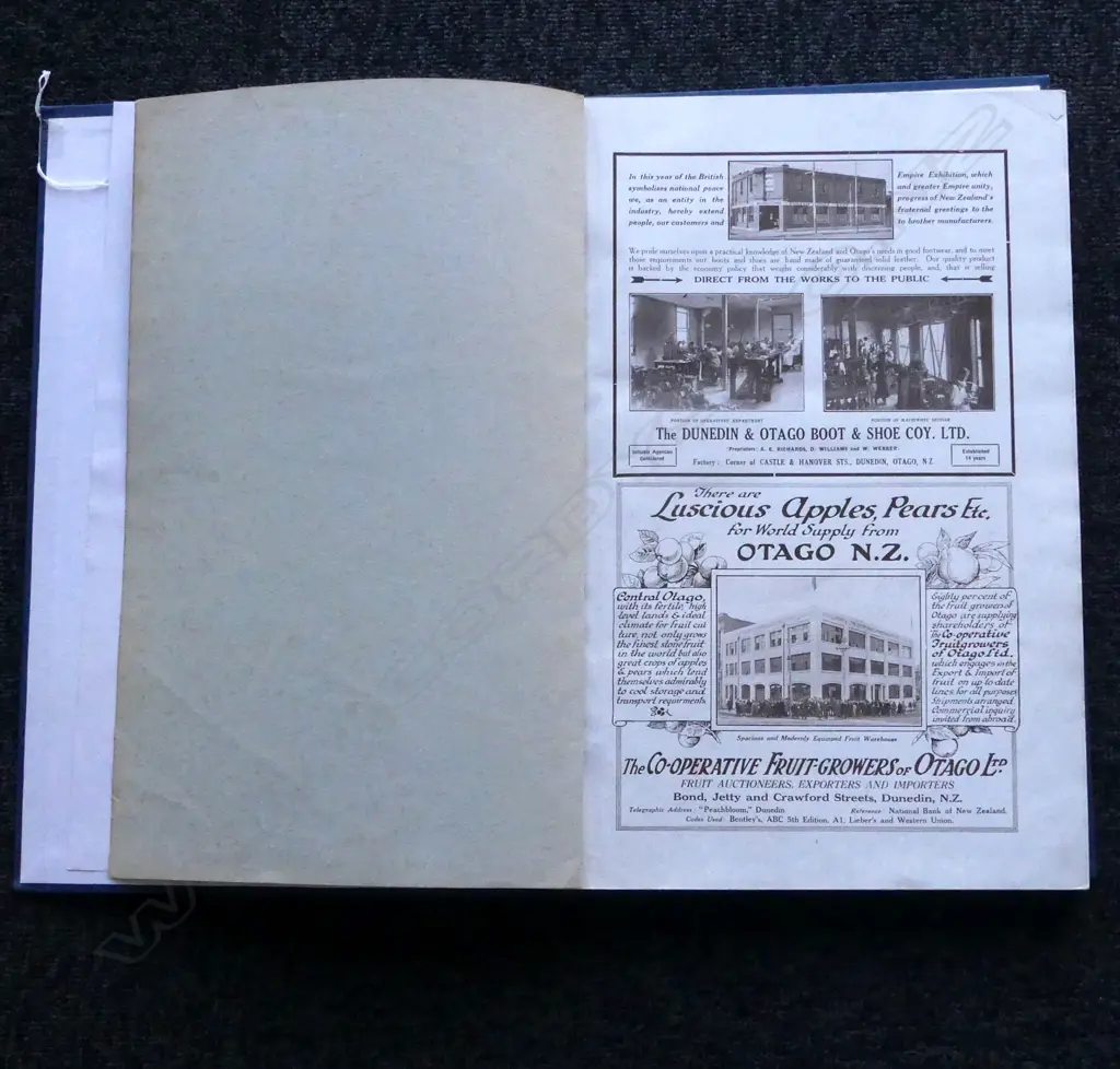 REBOUND BOOK; PROGRESSIVE NZ (1924) Image 1++