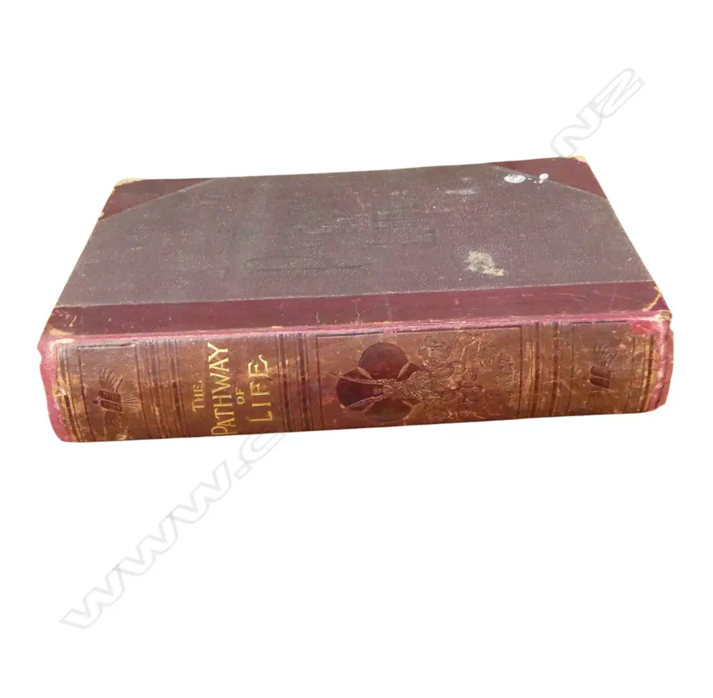 ''THE PATHWAY OF LIFE' BOOK faults Image 1++