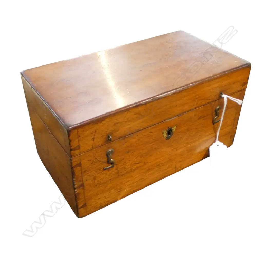 CASED THEODOLITE, NEGRETTI & ZAMBRA, LONDON L.255mm Image 1++