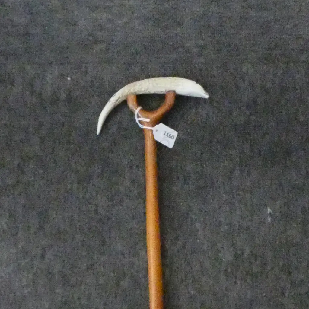 WALKING STICK L.895mm Image 1++