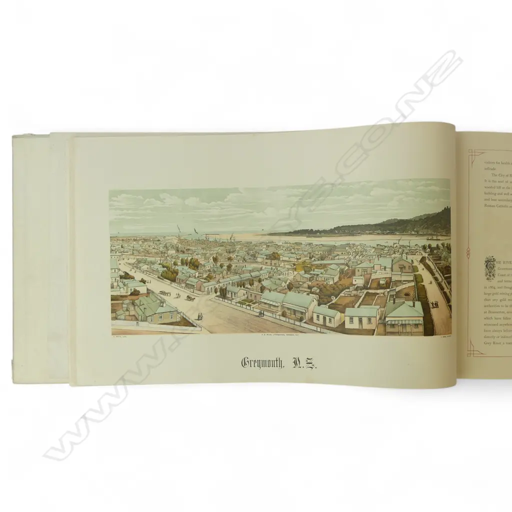 NZ ILLUSTRATED 1889 BOOK W.COLOUR PLATES faults Image 1++