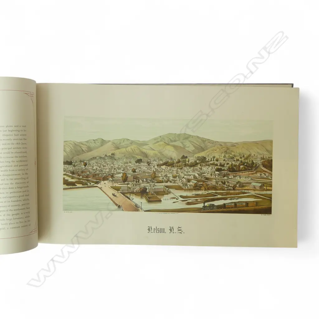 NZ ILLUSTRATED 1889 BOOK W.COLOUR PLATES faults Image 1++