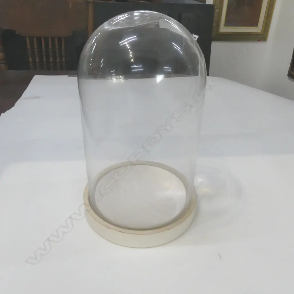 GLASS DOME H.325mm Image 1++