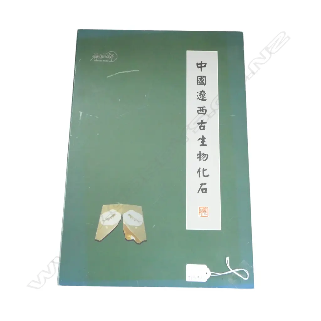 CHINESE FISH FOSSILS, BOXED 430x290mm Image 1++