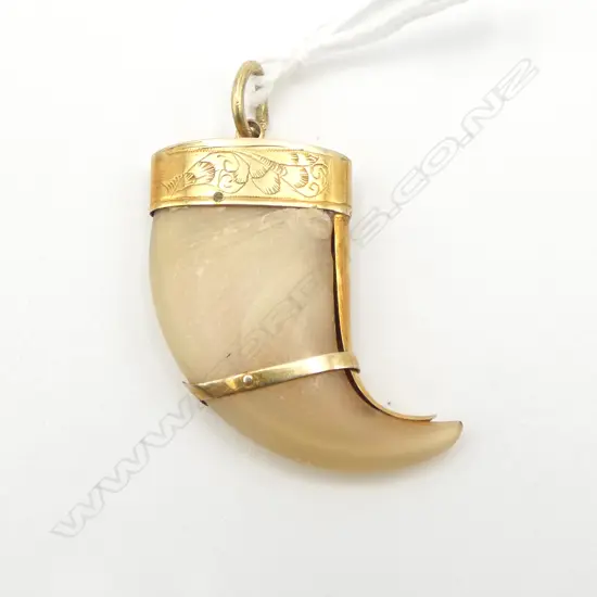 ANTIQUE 14ct GOLD & TIGERS CLAW PENDANT, L.30mm 3.0gms