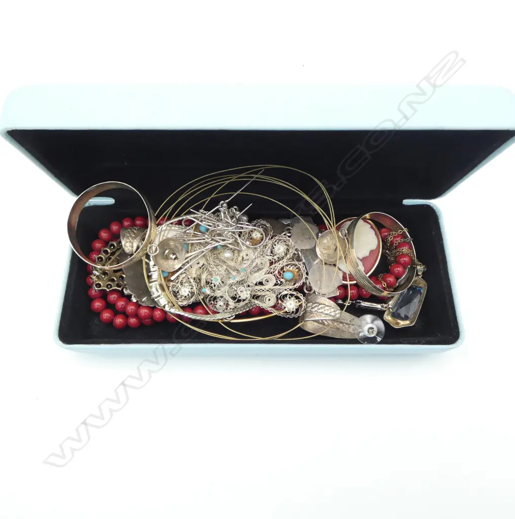 ASST. COSTUME JEWELLERY Image 1++