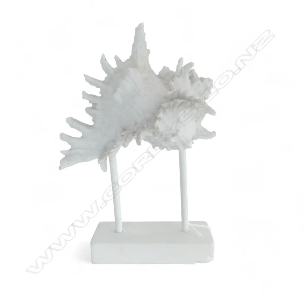 WHITE RESIN SHELL ON STAND H.260mm Image 1++