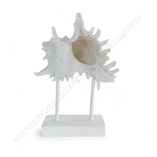 WHITE RESIN SHELL ON STAND H.260mm