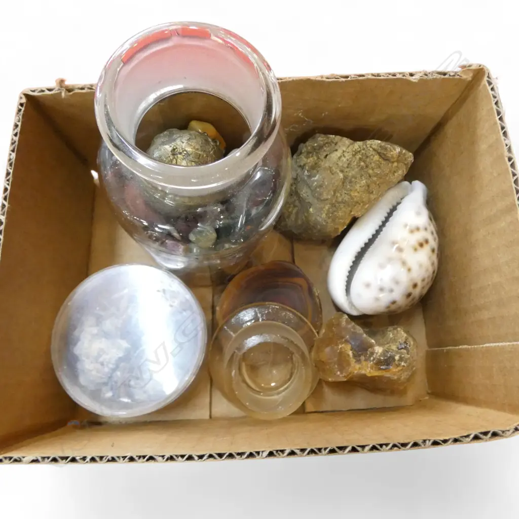 ASST. MINERAL SAMPLES Incl. KAURI GUM + RAW OPALS? Image 1++