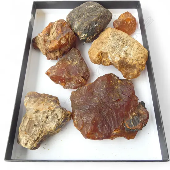 COLLECTION 7 HAND SIZED KAURI GUM NUGGETS L70MM AVERAGE