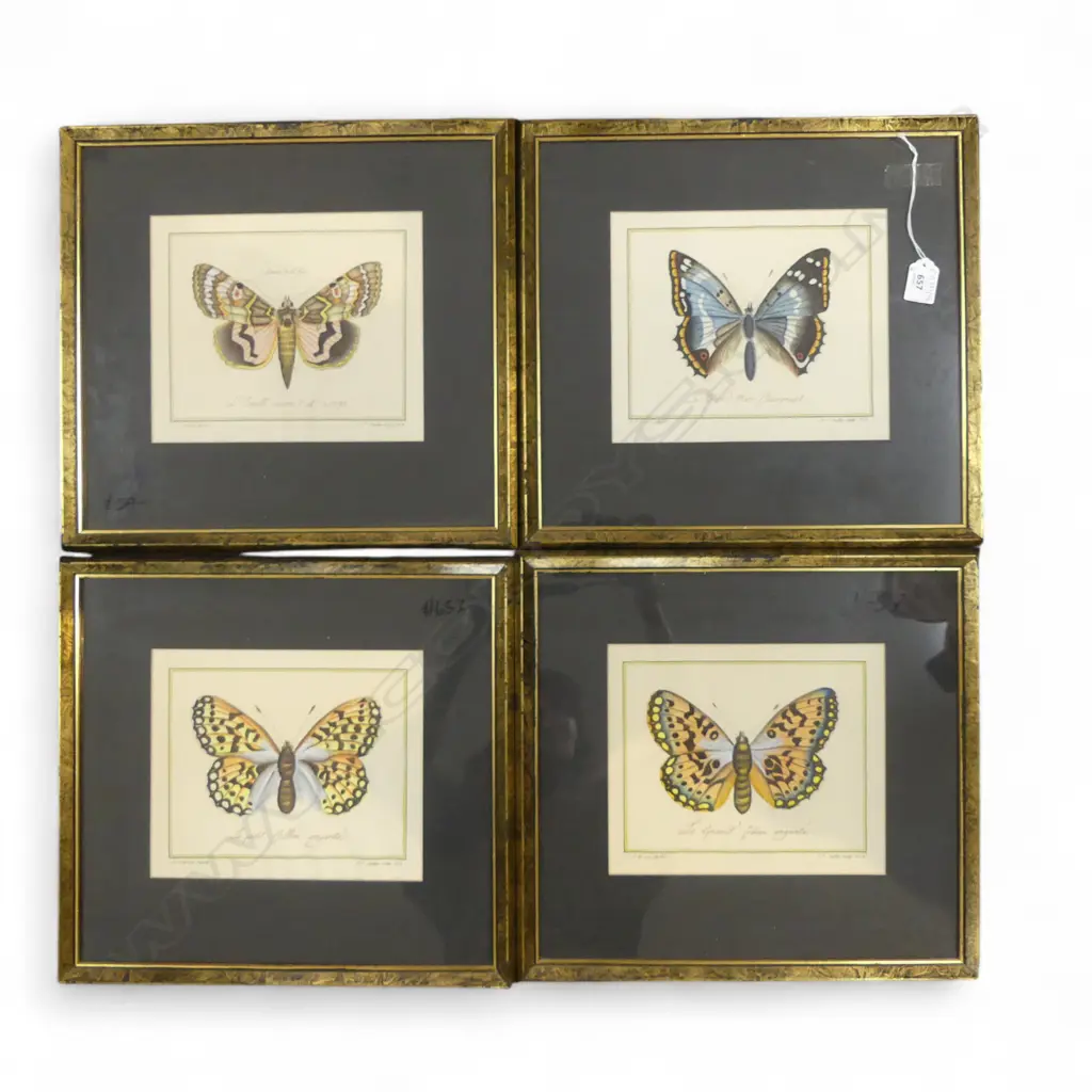 4 HAND COLOURED BUTTERFLY ENGRAVINGS 190x230mm Image 1++