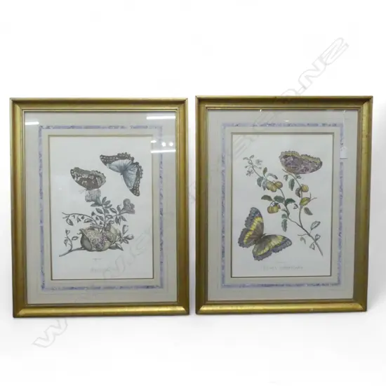 PR BUTTERFLY PRINTS 'CERASA AMERICANA' & 'GRANATA' 445x310mm