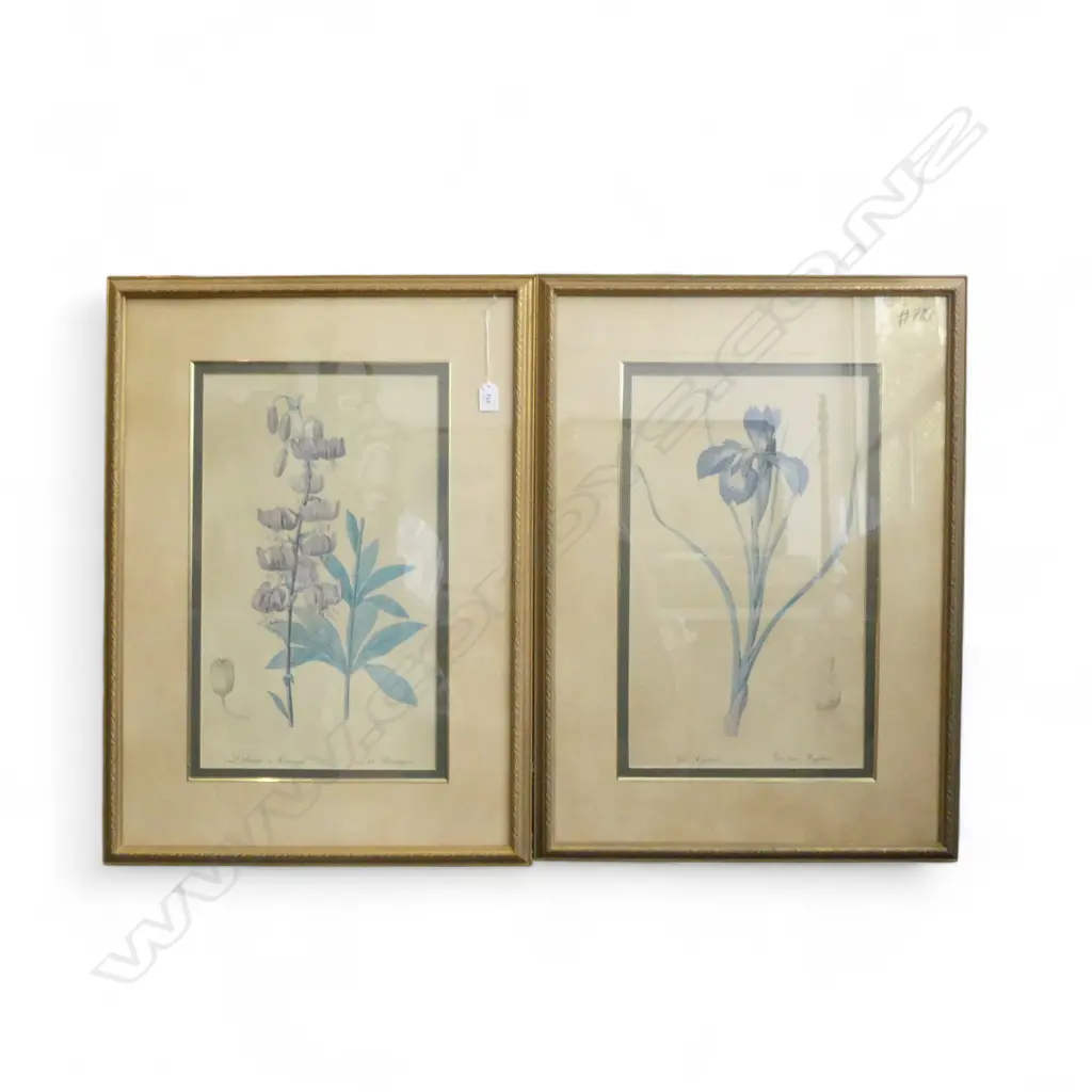 PR LG BOTANICAL PRINTS 500x300mm Image 1++