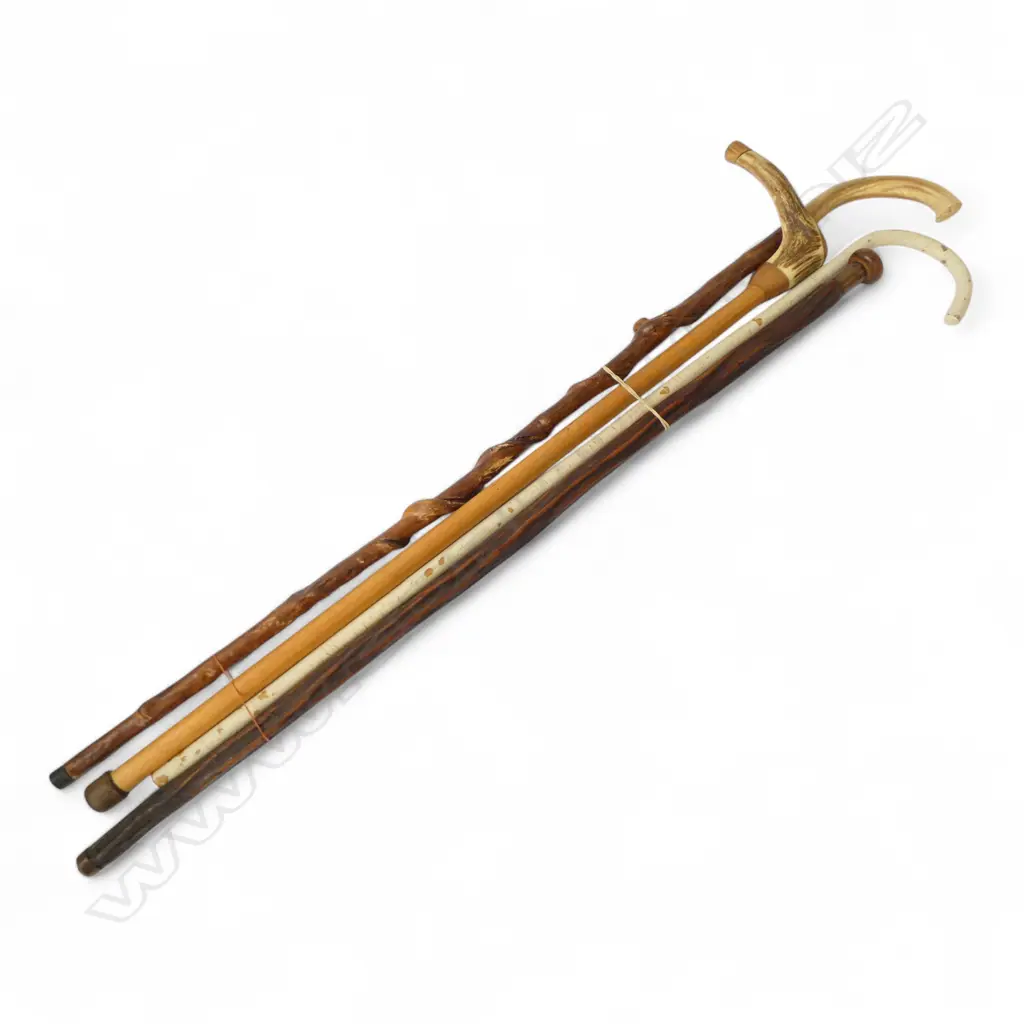 4 WOODEN  WALKING STICKS handles of: antler + horn + knob w brass collar + 1 painted white Image 1++
