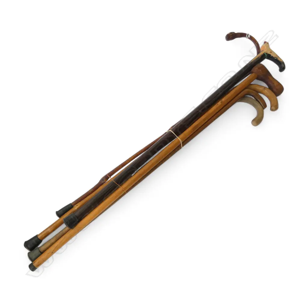 6 WOODEN or CANE WALKING STICKS Image 1++