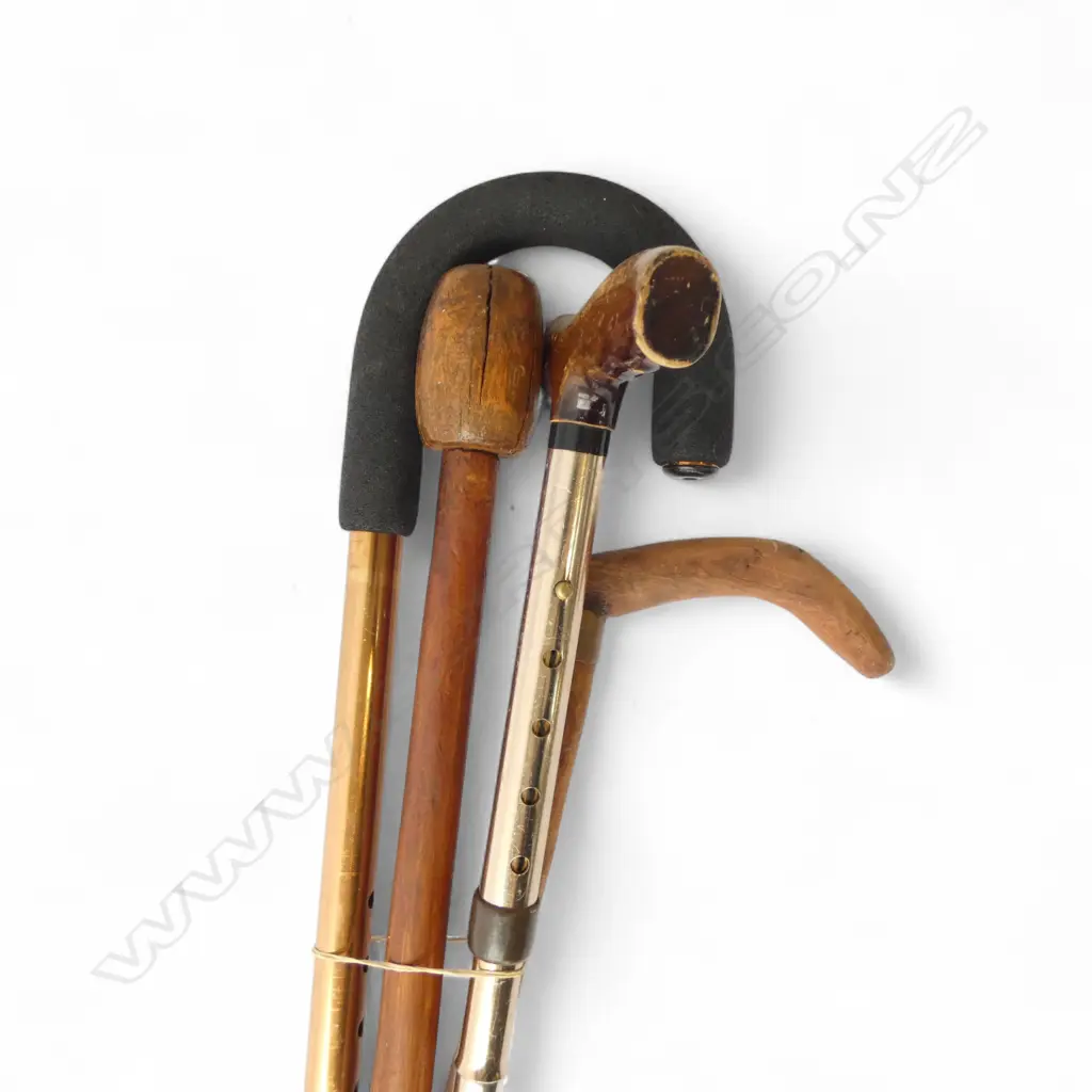 4 WALKING STICKS: 2 metal w adjustable push-button height Image 1++