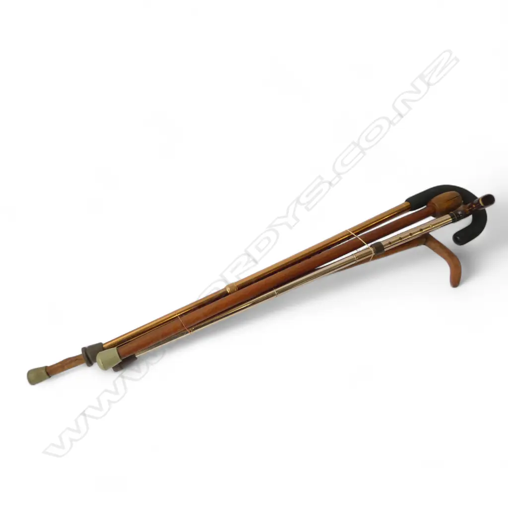 4 WALKING STICKS: 2 metal w adjustable push-button height Image 1++