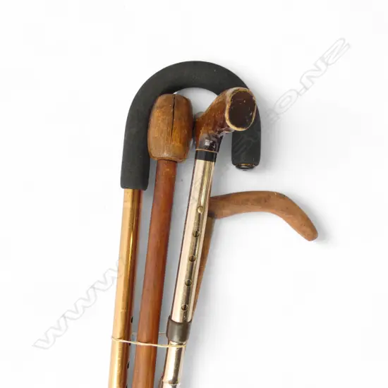 4 WALKING STICKS: 2 metal w adjustable push-button height