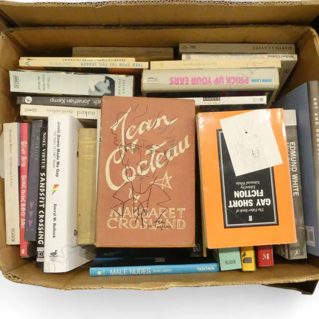 ASST. BOOKS; GAY / QUEER INTEREST Image 1++
