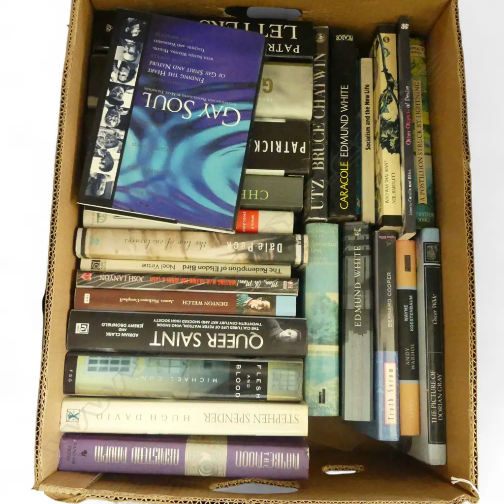 ASST. BOOKS; GAY / QUEER INTEREST Image 1++